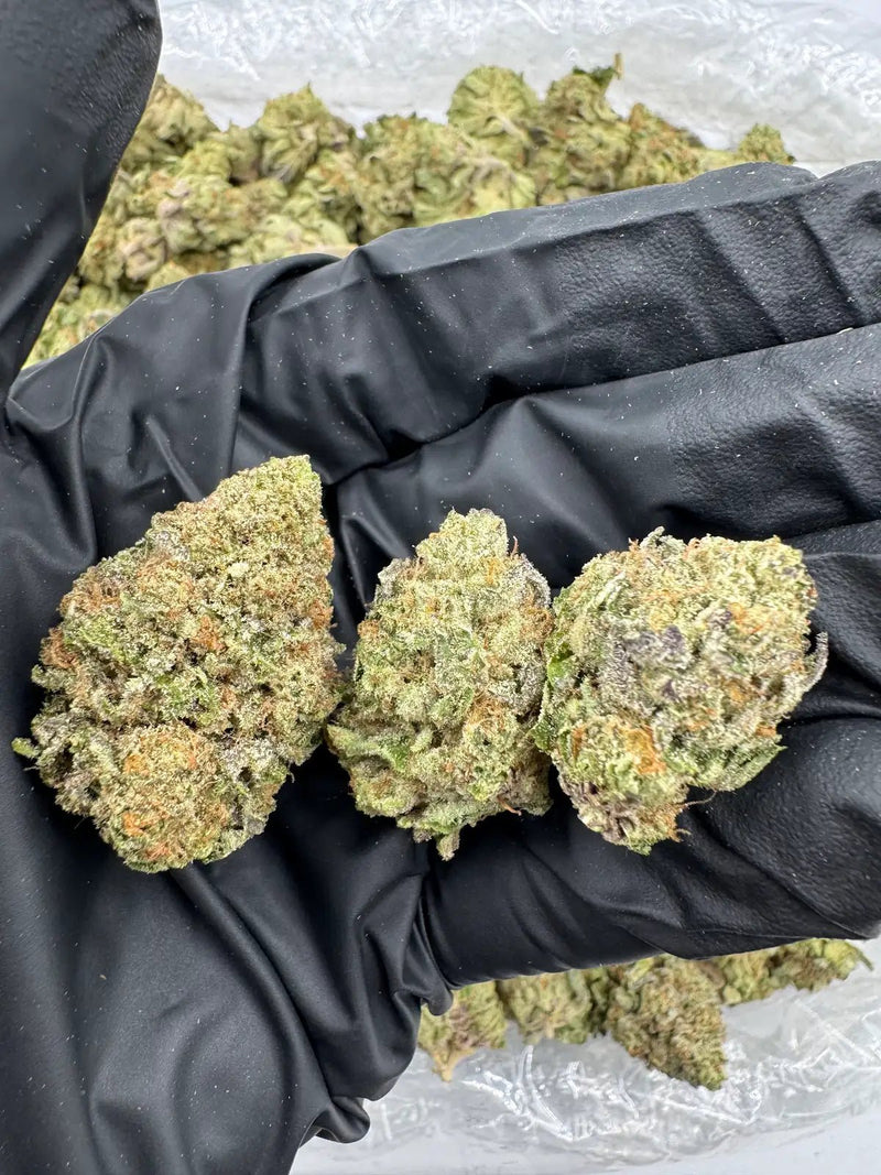 DS - Bulk Thca Indoor Exotic Flower - Push Pop - 32.05% - Indica - Bandit Distribution