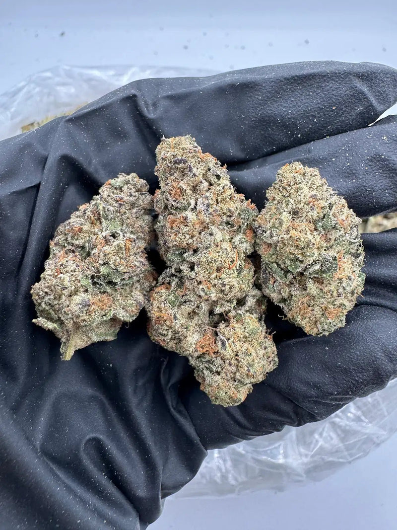 DS - Bulk Thca Indoor Exotic Flower - Silver Haze 26.82% - Sativa - Bandit Distribution