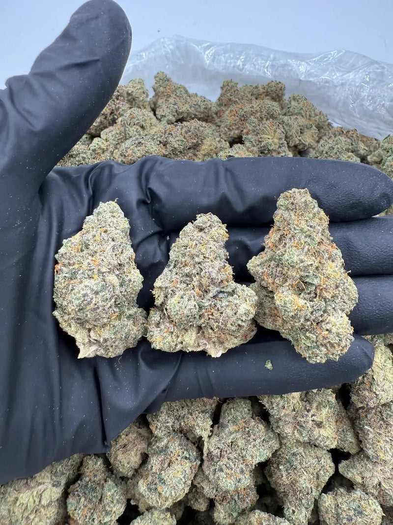 DS - Bulk Thca Indoor Exotic Flower - Stardawg 32.75% - Sativa - Bandit Distribution