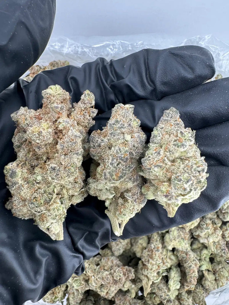 DS - Bulk Thca Indoor Exotic Flower - Strawberries & Cream 32.59% - Bandit Distribution