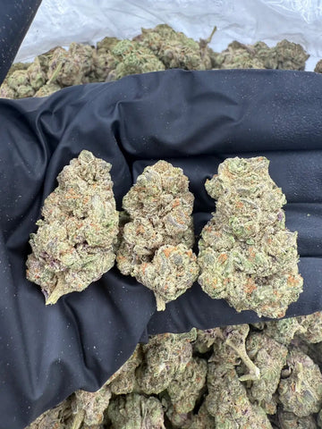 DS - Bulk Thca Indoor Exotic Flower - Street Tarts 30.00% - Hybrid - Bandit Distribution