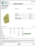 DS - Bulk Thca Indoor Exotic Flower - Sunset Strip - 31.64% - Hybrid - Bandit Distribution