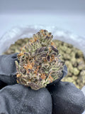 DS - Bulk Thca Indoor Exotic Flower - Velvet Punch 31.76% - Sativa - Bandit Distribution