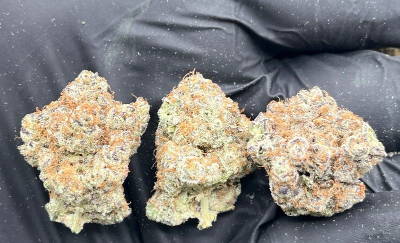 DS - Bulk Thca Indoor Plus Exotic - Alaskan Ice - 27.60% - Bandit Distribution