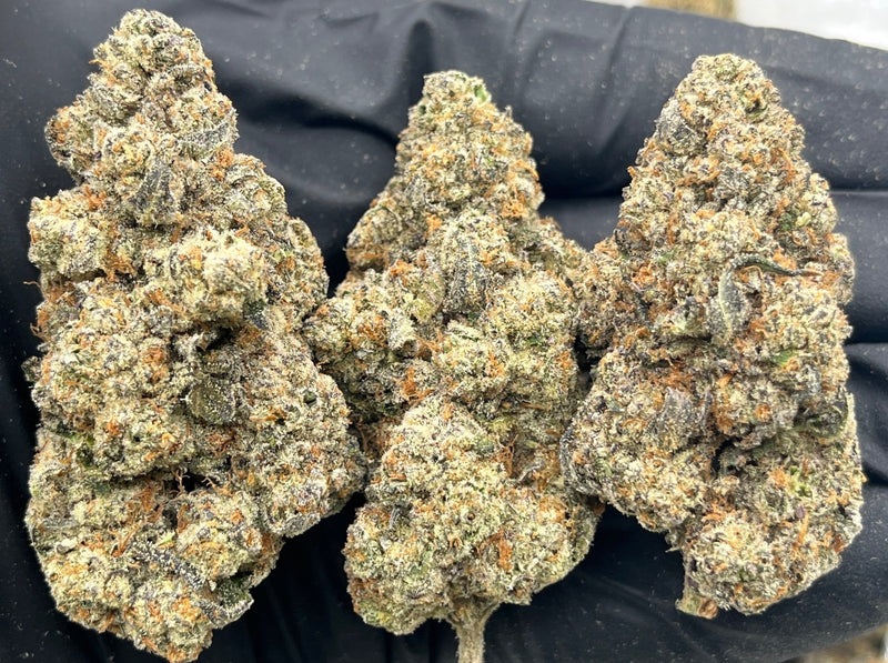 DS - Bulk Thca Indoor Plus Exotic - Baby Yoda - 31.75% - Bandit Distribution