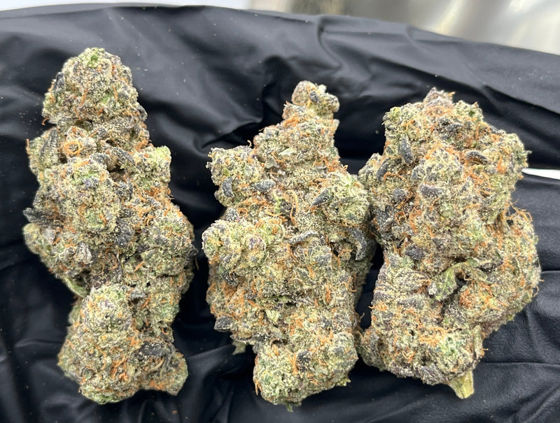 DS - Bulk Thca Indoor Plus Exotic - Black Cherry Gumbo - 31.64% - Bandit Distribution