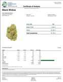 DS - Bulk Thca Indoor Plus Exotic - Black Widow - 31.75% - Bandit Distribution