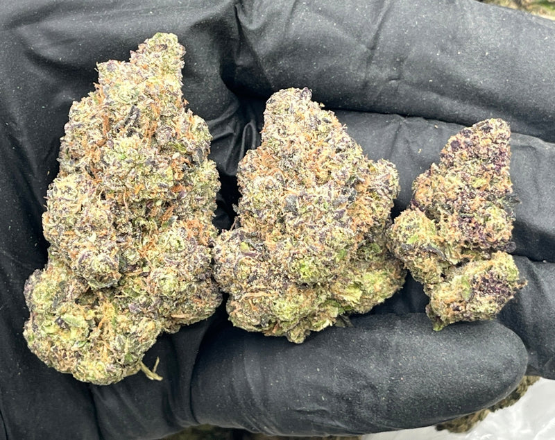DS - Bulk Thca Indoor Plus Exotic - Black Widow - 31.75% - Bandit Distribution