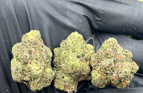 DS - Bulk Thca Indoor Plus Exotic - Cherry Gusherz - 30.79% - Bandit Distribution