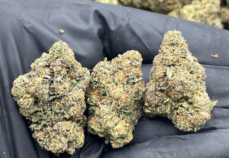 DS - Bulk Thca Indoor Plus Exotic - Crunch Berries - 30.67% - Bandit Distribution