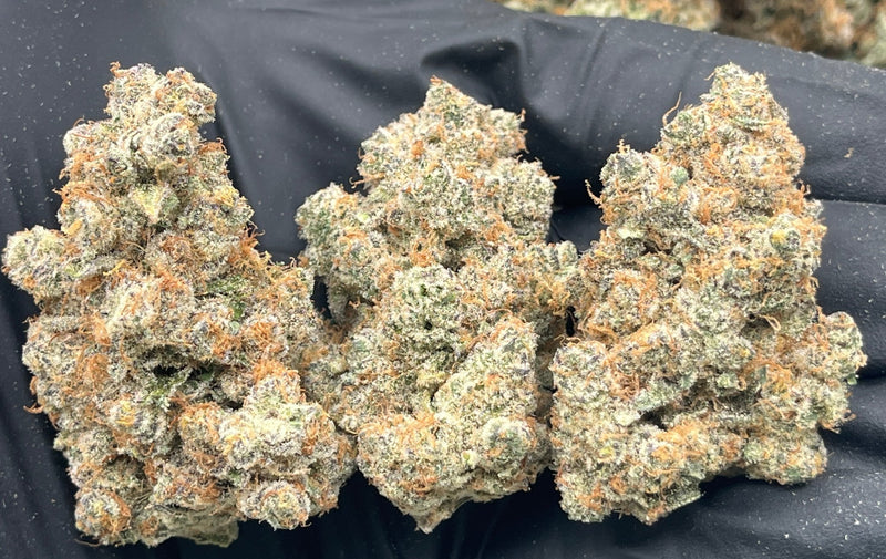 DS - Bulk Thca Indoor Plus Exotic - Fruit Punch - 26.08% - Bandit Distribution