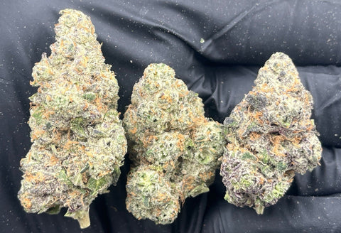 DS - Bulk Thca Indoor Plus Exotic - Julius Caesar- 27.14% - Bandit Distribution
