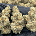 DS - Bulk Thca Indoor Plus Exotic - Meat Breath -27.12% - Bandit Distribution