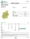 DS - Bulk Thca Indoor Plus Exotic - Nuclear Cherry - 32.28% - Bandit Distribution