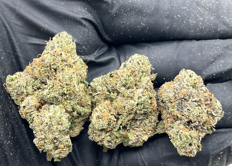 DS - Bulk Thca Indoor Plus Exotic - Pink Warheads- 30.57% - Bandit Distribution
