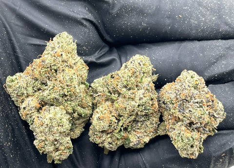 DS - Bulk Thca Indoor Plus Exotic - Pink Warheads- 30.57% - Bandit Distribution