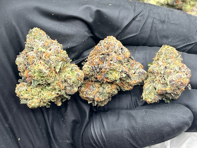 DS - Bulk Thca Indoor Plus Exotic - Purple Chem - 31.65% - Bandit Distribution