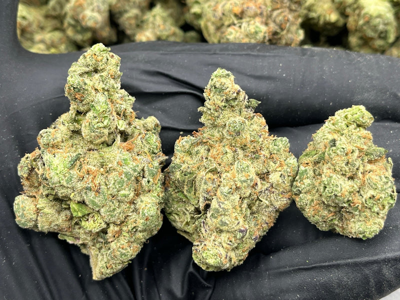 DS - Bulk Thca Indoor Plus Exotic - Sour OG - 29.06% - Bandit Distribution