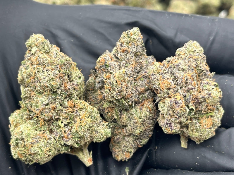 DS - Bulk Thca Indoor Plus Exotic - Strawberry Slushy - 31.88% - Bandit Distribution