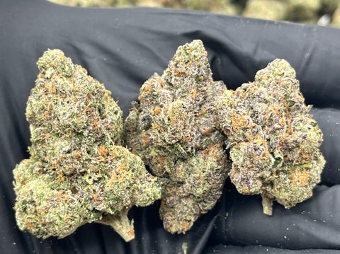 DS - Bulk Thca Indoor Plus Exotic - Strawberry Slushy - 31.88% - Bandit Distribution