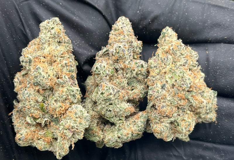 DS - Bulk Thca Indoor Plus Exotic - Superboof - 33.39% - Bandit Distribution