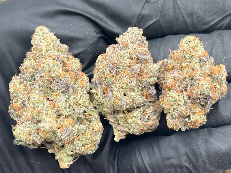 DS - Bulk Thca Indoor PLUS Exotics - Pineapple Express 30.92% - Bandit Distribution