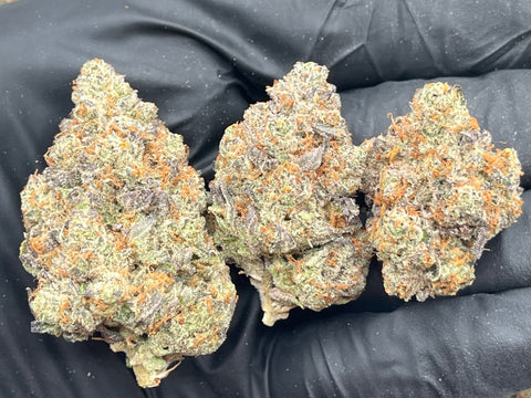 DS - Bulk Thca Indoor PLUS Exotics - Pineapple Express 30.92% - Bandit Distribution