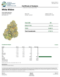 DS - Bulk Thca Indoor PLUS Exotics - White Widow - 27.03% - Bandit Distribution
