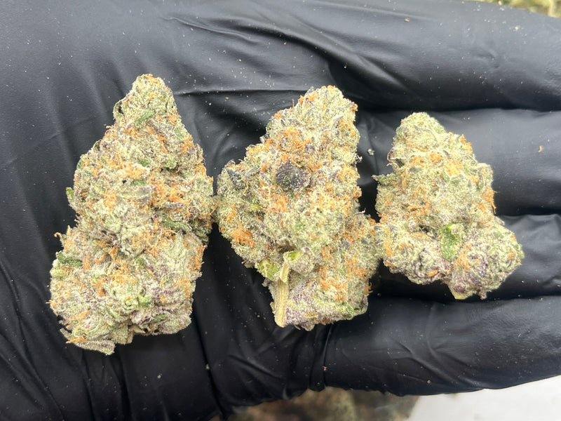 DS - Bulk Thca Indoor PLUS Exotics - White Widow - 27.03% - Bandit Distribution