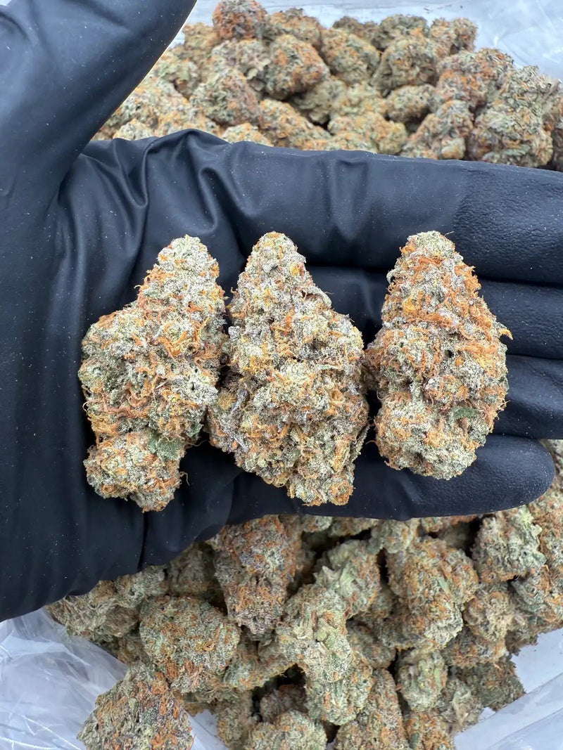DS - Bulk Thca Indoor PLUS Exotics - ZOAP - 32.59% - Bandit Distribution