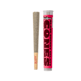 Ice Kream Sugar Cones Thca 1.5g Pre Rolls - 40ct Display - Black Cherry Gelato - Bandit Distribution