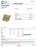 DS - Bulk Thca Indoor Plus Exotic - Julius Caesar- 27.14%