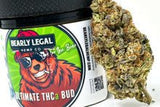 Bearly Legal THCa Flower - 3.5g - Gelato 41