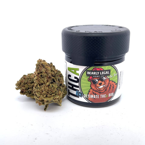 Bearly Legal THCa Flower - 3.5g - Pop Rocks - HempWholesaler.com