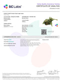 Bulk THCa Exotics Flower - Mendo Purp (28.63%) - HempWholesaler.com