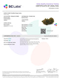 Bulk THCa Exotics Flower - Modified Grape (36.38%) - HempWholesaler.com