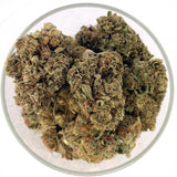 Bulk THCa Indoor Dro Flower 23.61% -Mango - 1lb - HempWholesaler.com