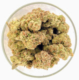 Bulk THCa Indoor Dro Flower - Exotic Cherry Gelato (21.94%) - 1lb - HempWholesaler.com