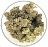 Bulk THCa Indoor Dro Flower - Exotic Wedding Cake (22.02%) - 1lb - HempWholesaler.com