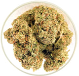 Bulk THCa Indoor Dro Flower - Gold Cash (30.95%)
