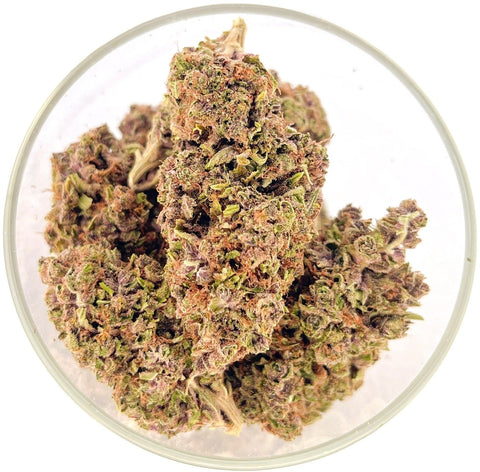Bulk THCa Indoor Dro Flower - Grape Ape (26.51%) - 1lb - HempWholesaler.com