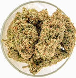 Bulk THCa Indoor Dro Flower - Mac 1 (25.98%) - 1lb - HempWholesaler.com
