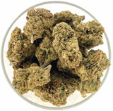 Bulk THCa Indoor Dro Flower - Marathon OG (23.61%) - 1lb - HempWholesaler.com