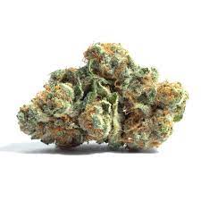 Green Mountain Genetics Seeds - Auto Flower And Feminized Packs Green Mountain Cheddar - F