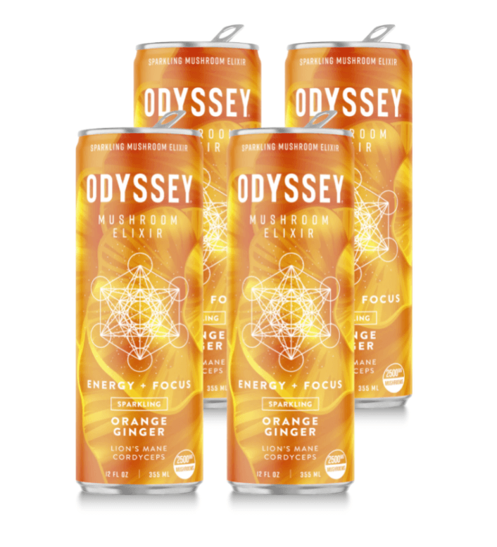New Flavor - Odyssey Elixir - Sparkling Elixir Series - 1 Case (12 Cans) Orange Ginger