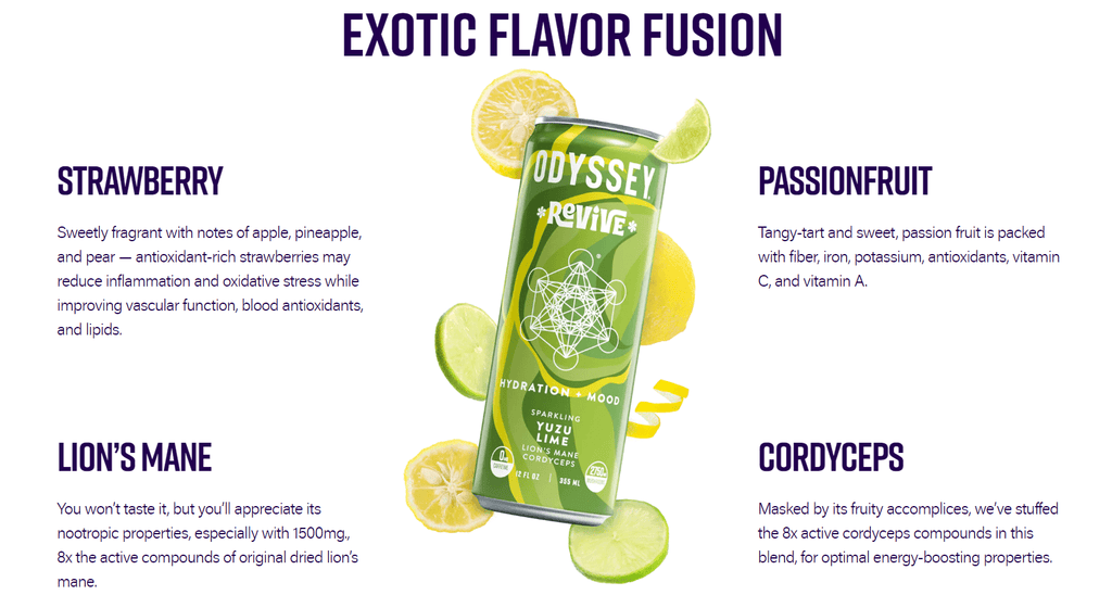 Odyssey Elixir "Revive" Series Mushroom Energy Drinks - Bandit Distribution