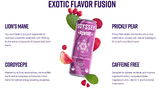 Odyssey Elixir "Revive" Series Mushroom Energy Drinks - Bandit Distribution