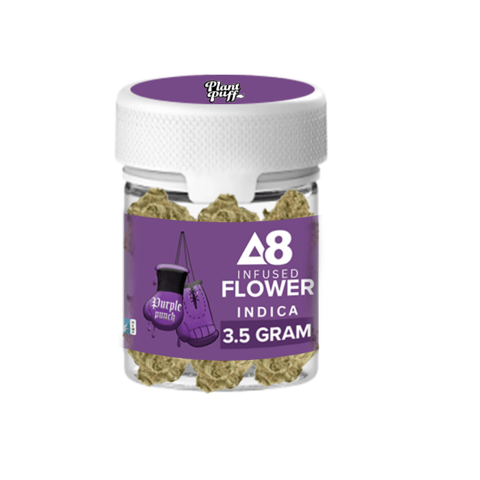 Plant Puff - Delta 8 THC Flower - Purple Punch (3.5G) - Bandit Distribution